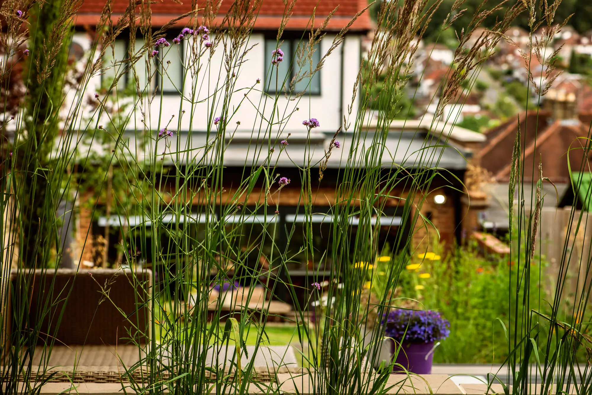 The house and its balcony seen from the garden through tall grasses and verbena, with the rooftops of the town beyond