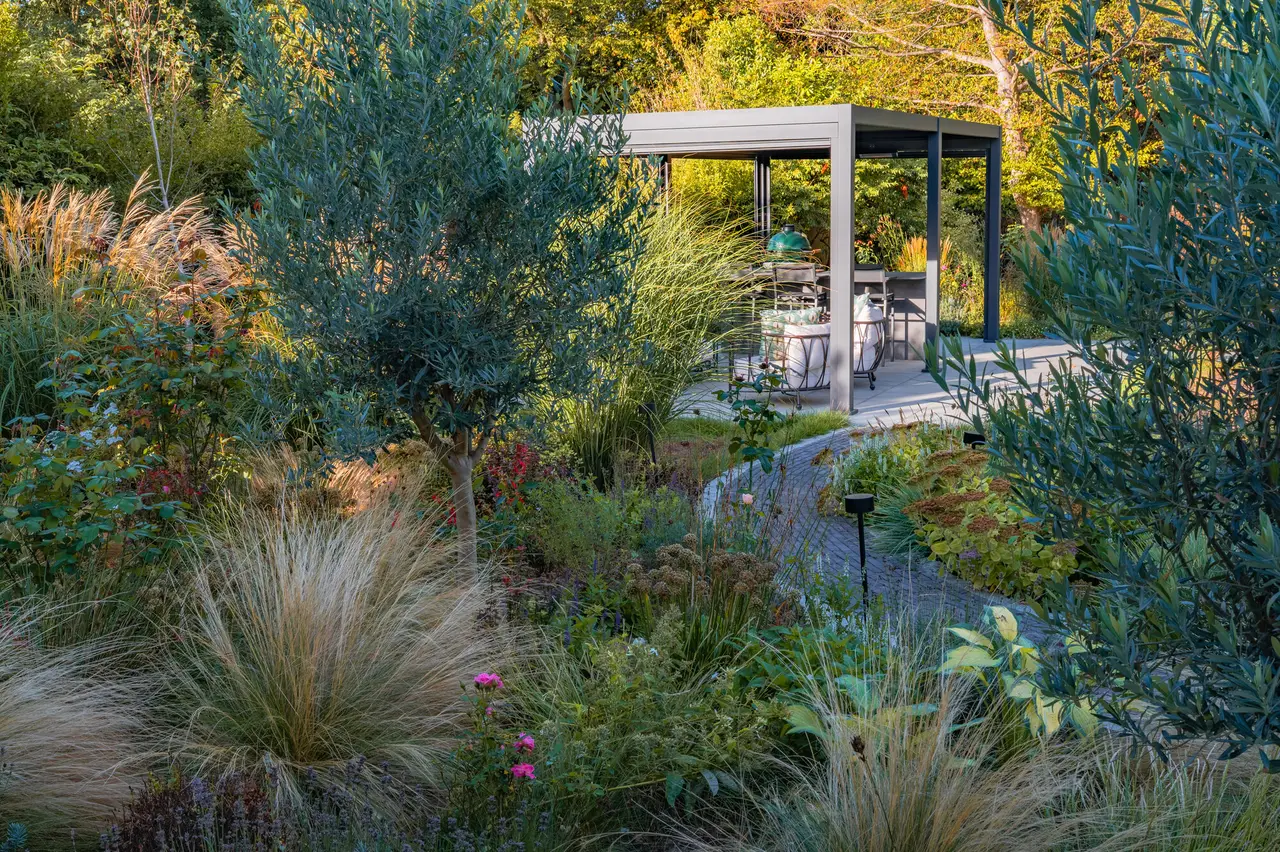 A path between olive trees, grasses and roses leading to the pergola with its dining table and outdoor kitchen