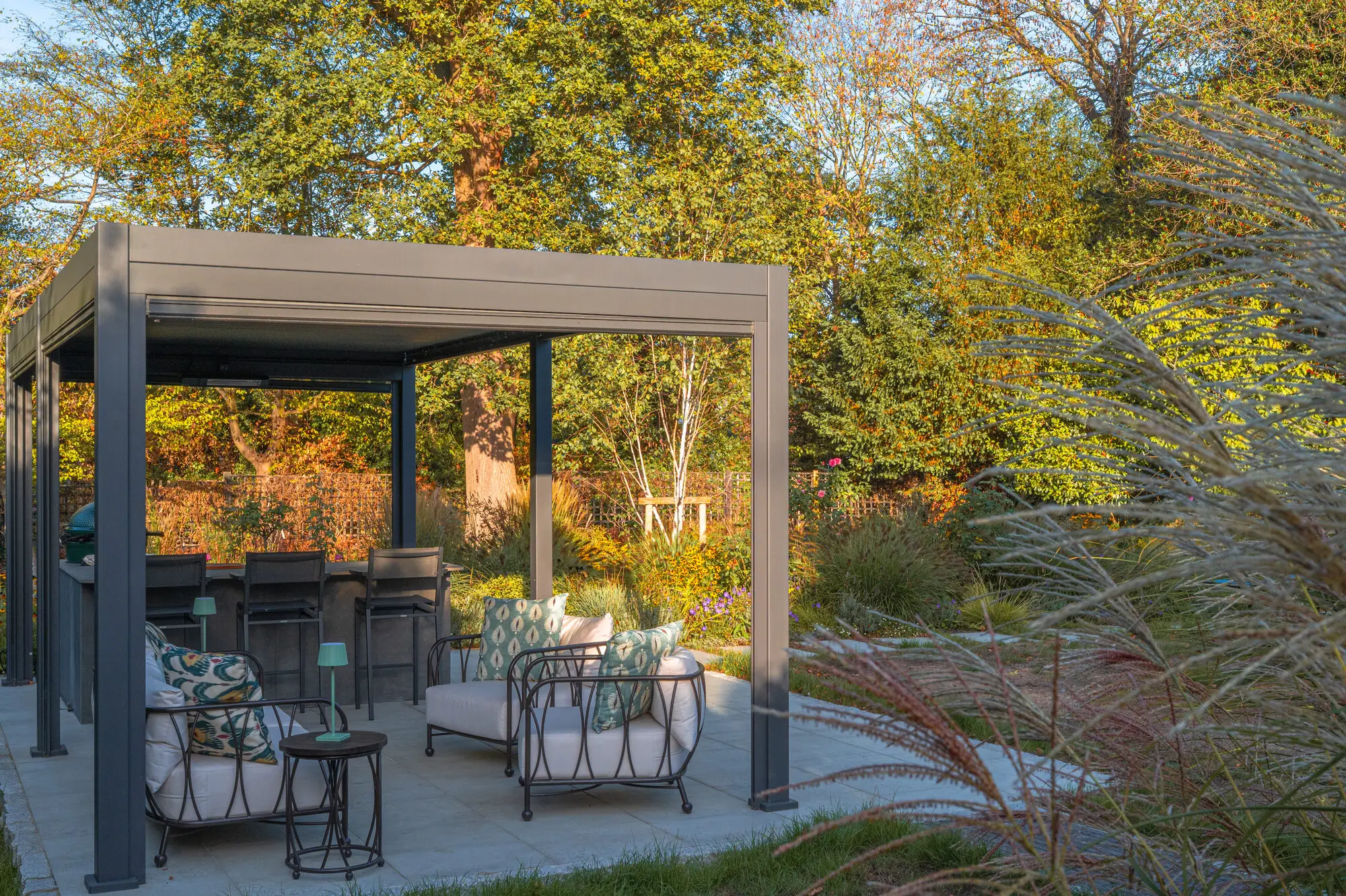 Lounge seating under the pergola, with multi-stem birches and the tall trees beyond the boundary in autumn colour