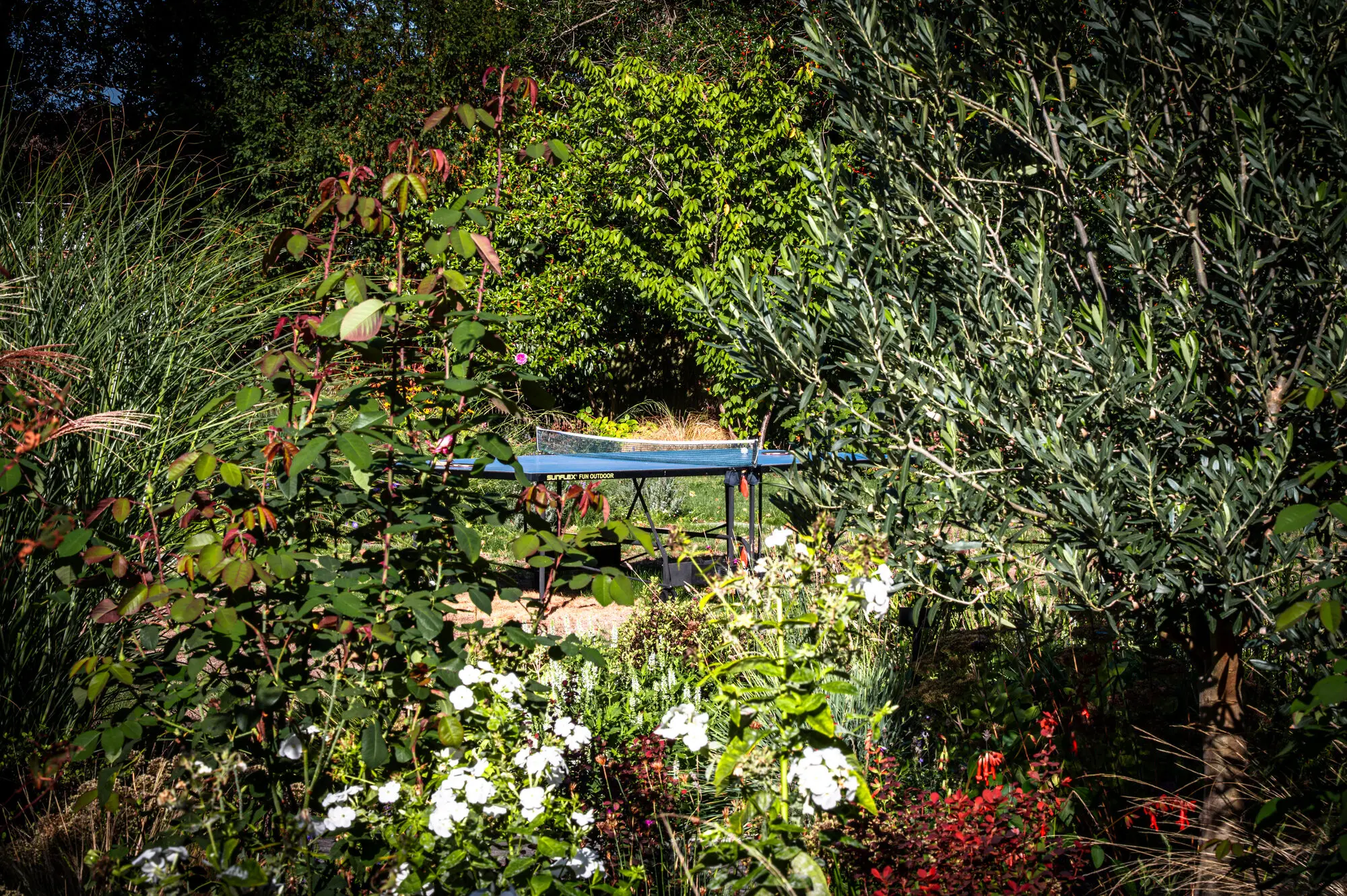 A table half hidden among roses, white flowers and grasses in the evening light