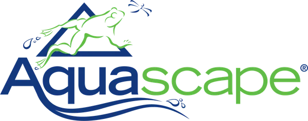 Aquascape