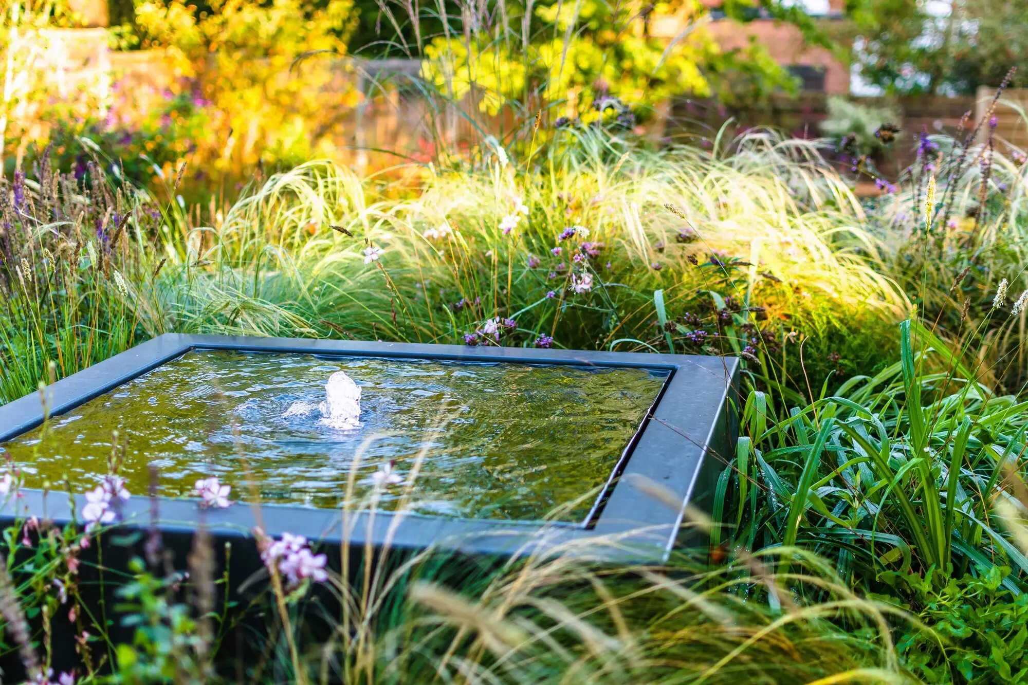 The Adezz aluminium water feature, a square basin with a single bubbling jet, among ornamental grasses and low perennials