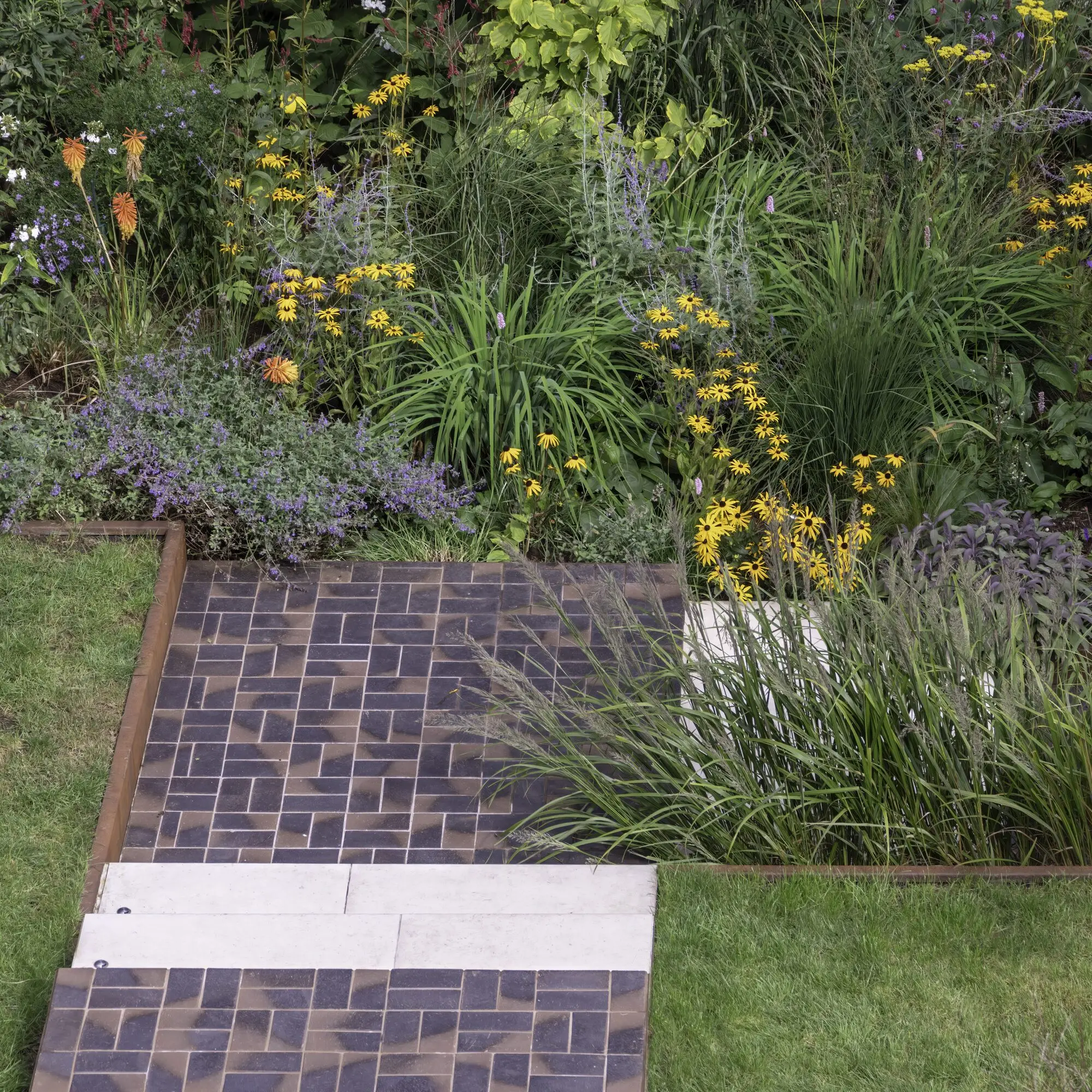A path of dark clay pavers edged with corten steel, with pale steps, running between the lawn and a border of rudbeckia, red hot pokers, catmint and grasses