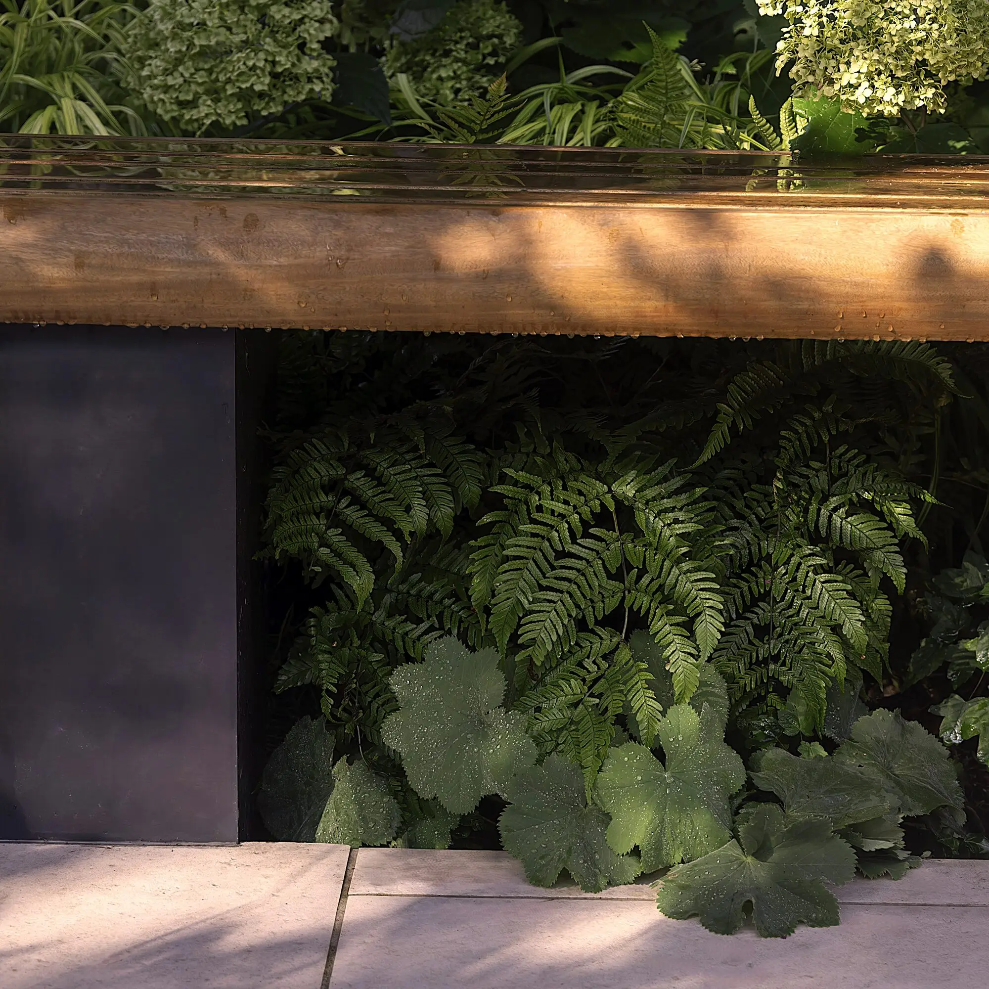 Ferns and lady's mantle growing in the shade beneath a timber-topped bench