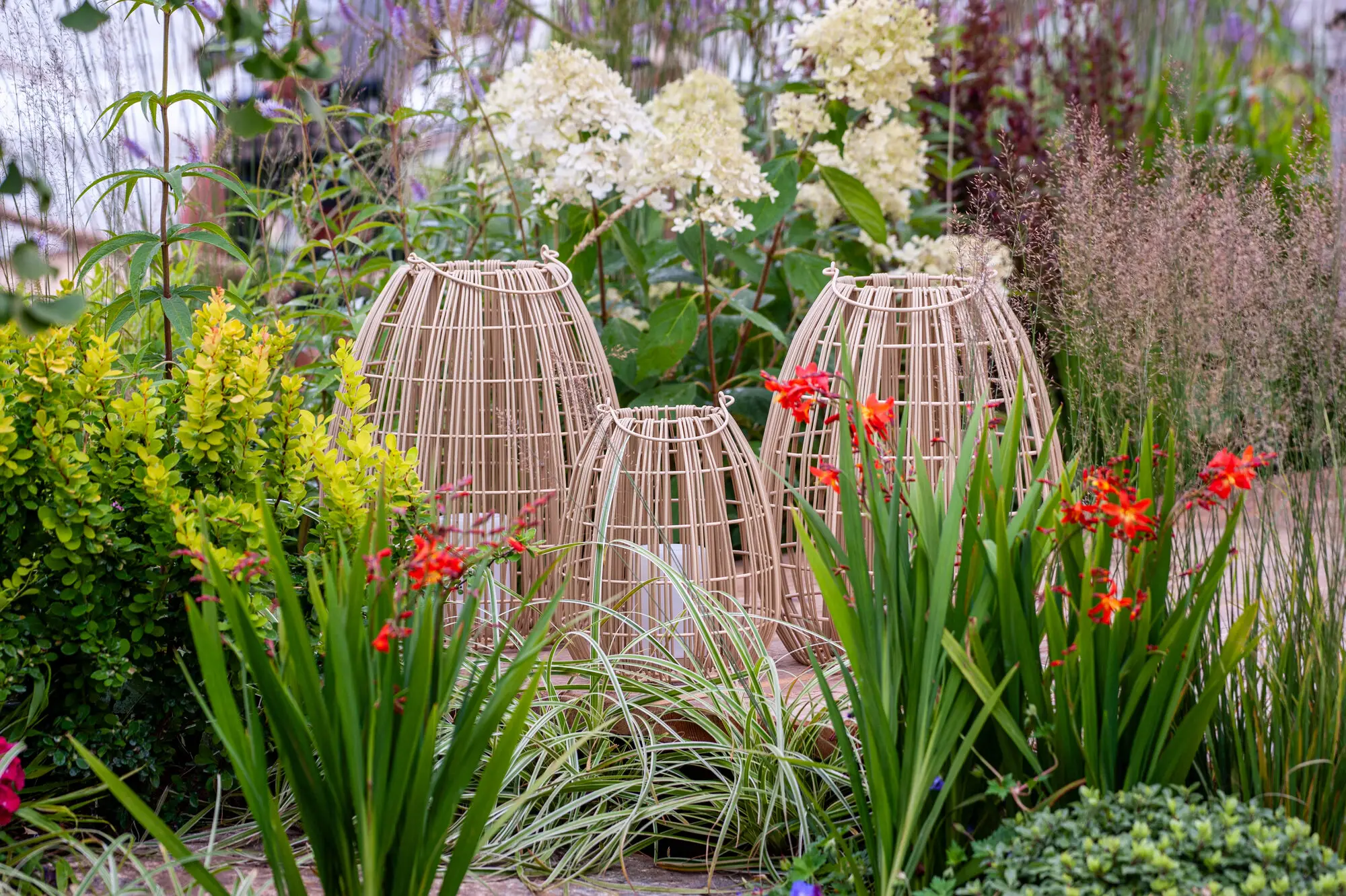 Decorative garden lanterns surrounded by hydrangeas, grasses and colourful layered planting