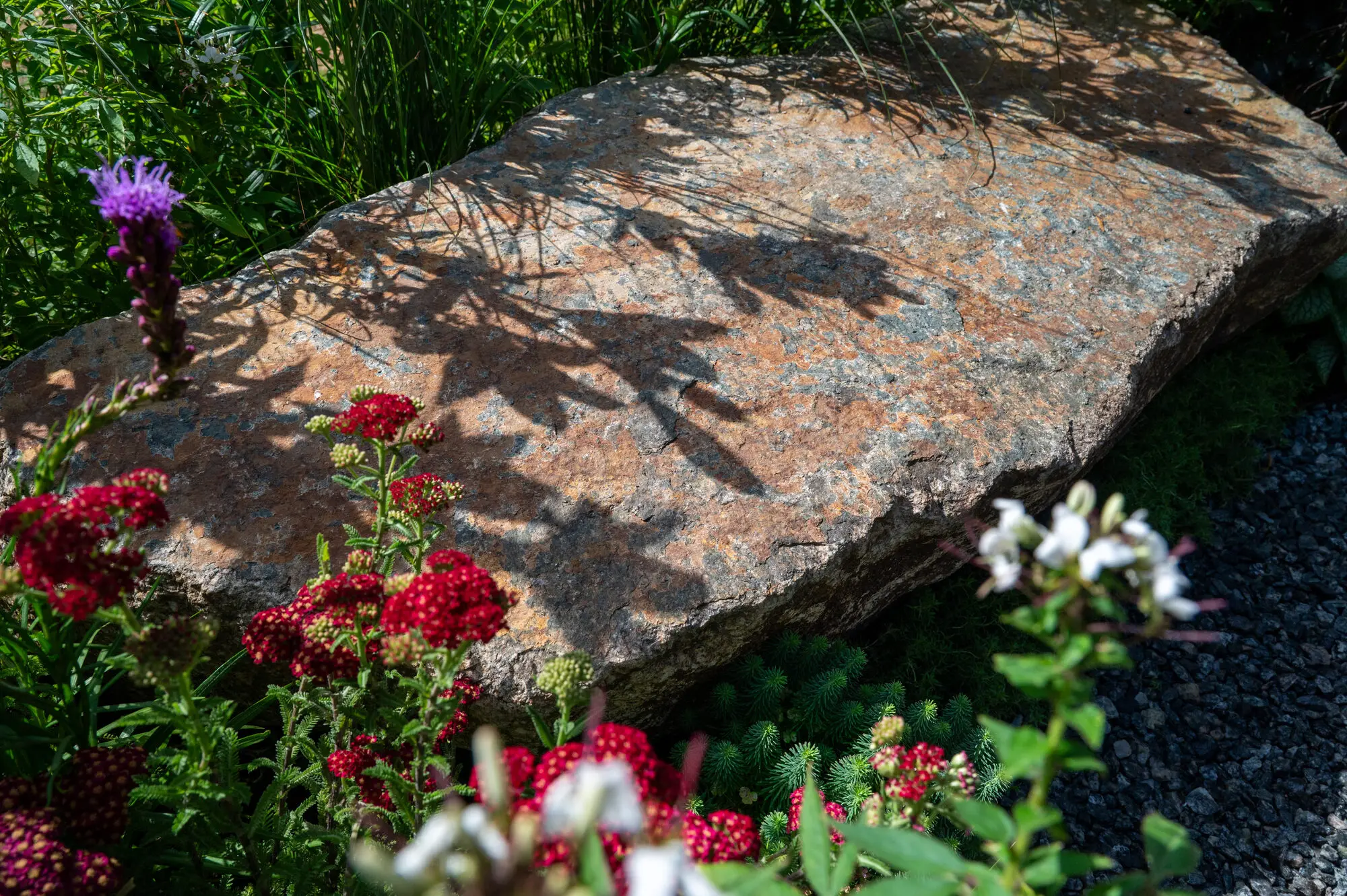 A granite slab set into the planting as a seat, with dappled shade across it