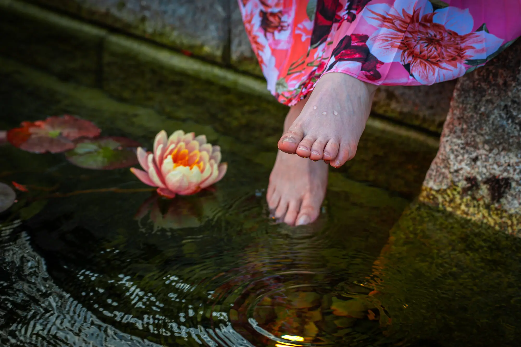 Kitti Kovacs dipping her foot into the pond beside a pink water lily