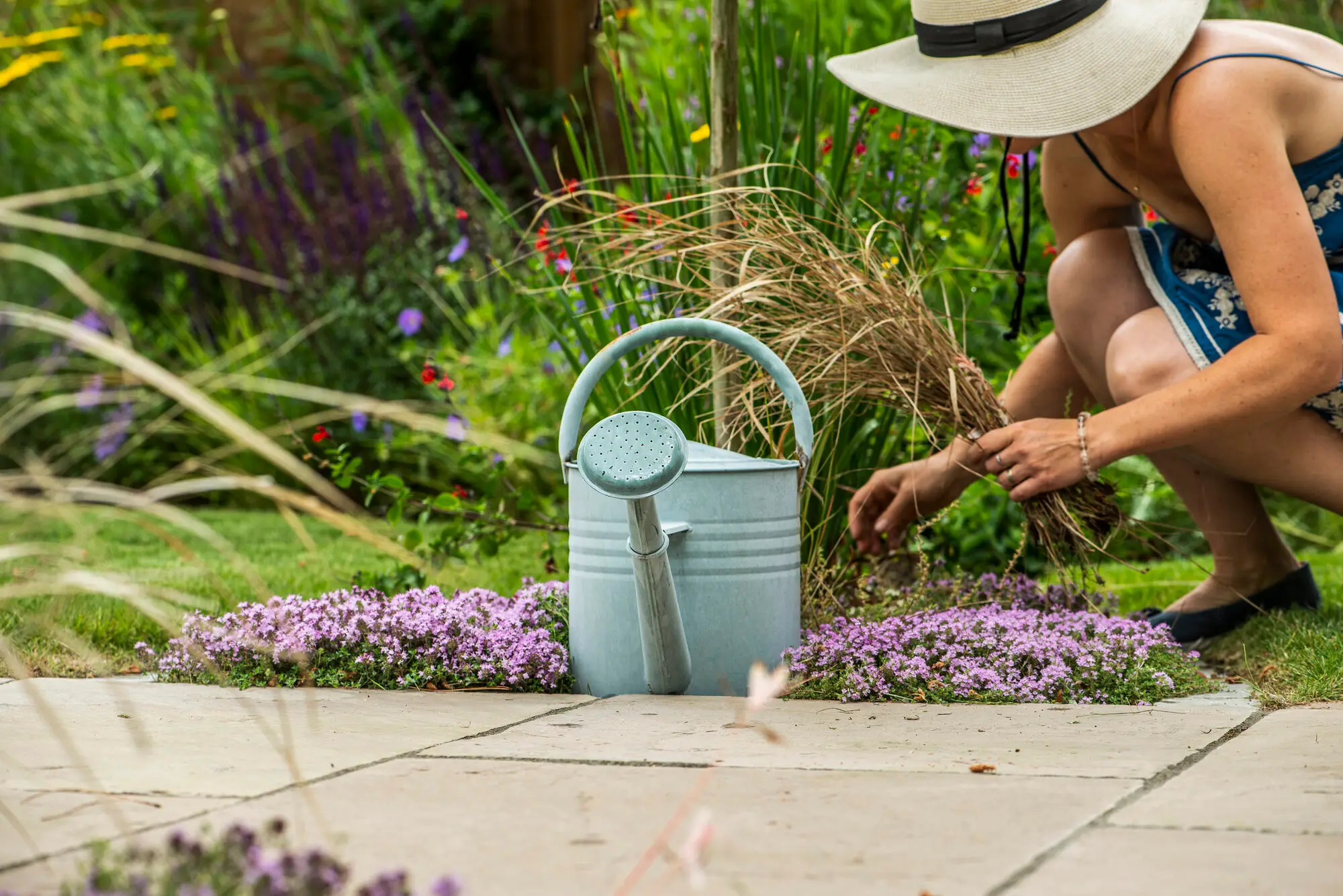 Kitti Kovacs planting low thyme beside a stone terrace, with a watering can and summer perennials behind