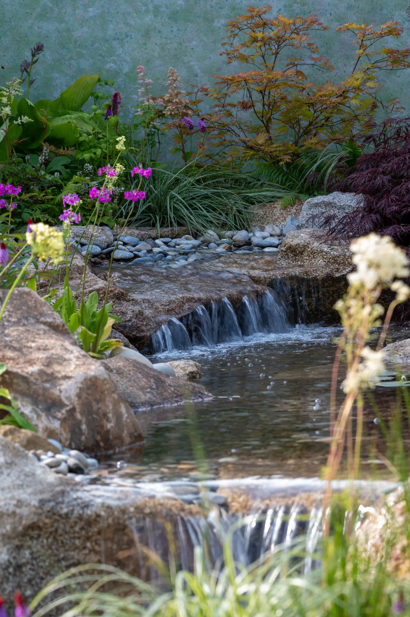 Naturalistic waterfall falling over granite into a still pool, framed by ferns, primulas and an Acer