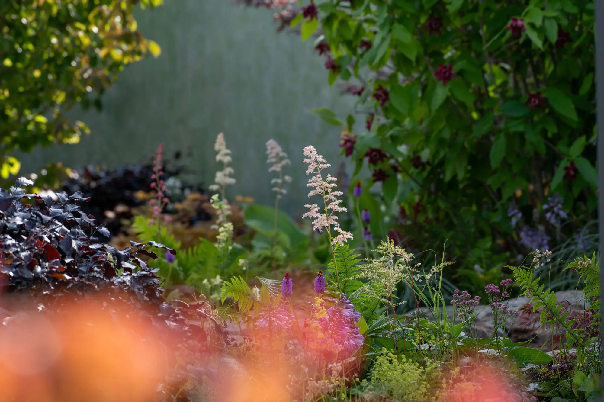 Layered planting for ground that floods, with astilbe, ferns and dark-leaved heuchera beside the water
