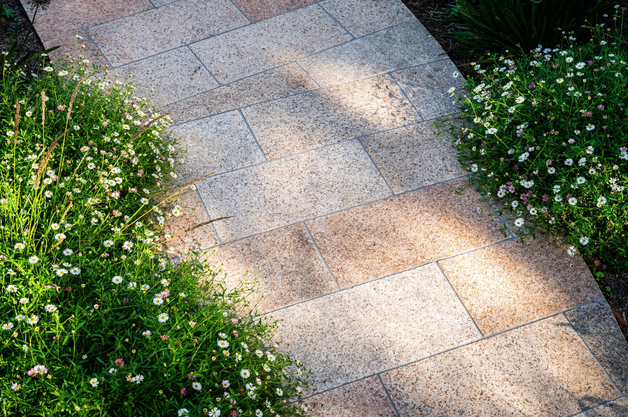 Pale granite paving curving between drifts of erigeron daisies
