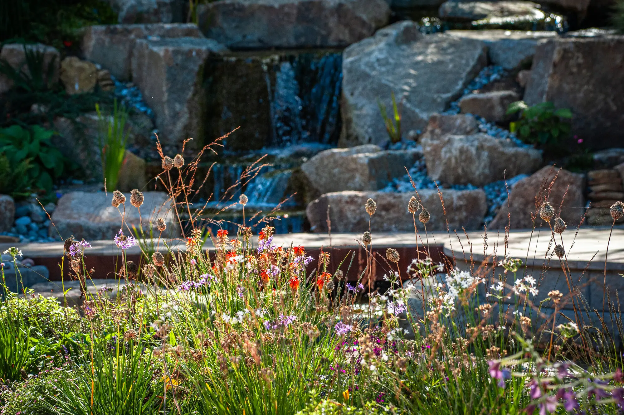 A granite waterfall behind a corten-edged terrace, with alliums, red hot pokers and grasses in the sun in front