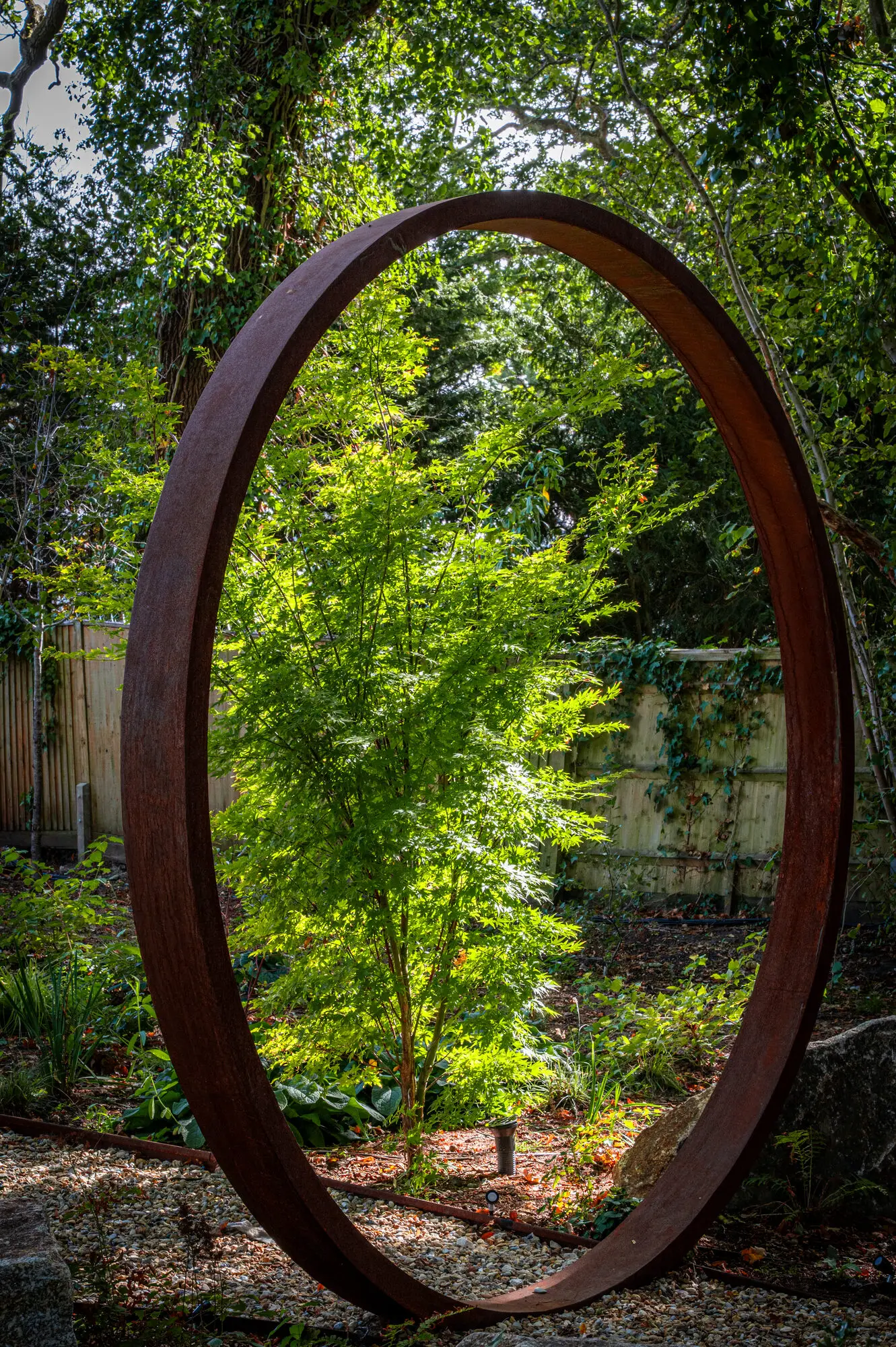 The corten steel moon gate framing a young acer in the woodland garden