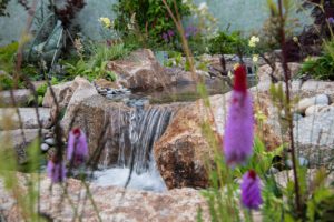 BBC Gardener's World Live