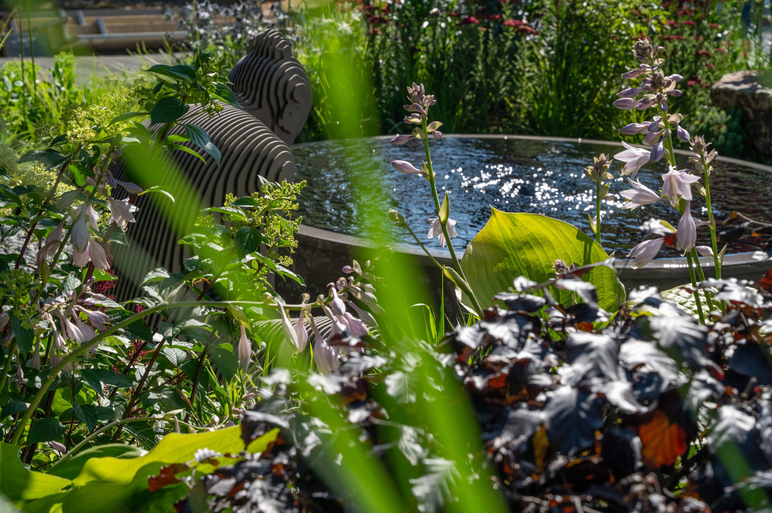 Home | Kitti Kovacs Gardens